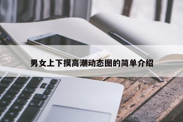 男女上下摸高潮动态图的简单介绍