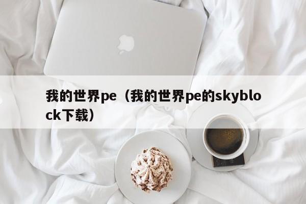 我的世界pe（我的世界pe的skyblock下载）