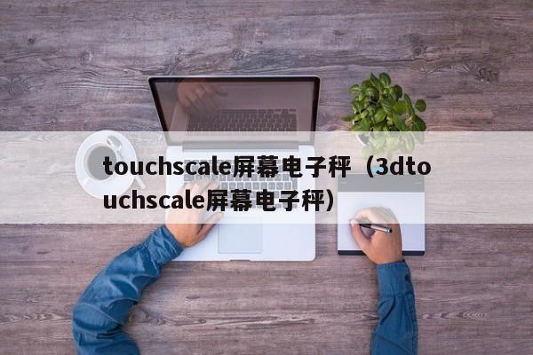 touchscale屏幕电子秤（3dtouchscale屏幕电子秤）