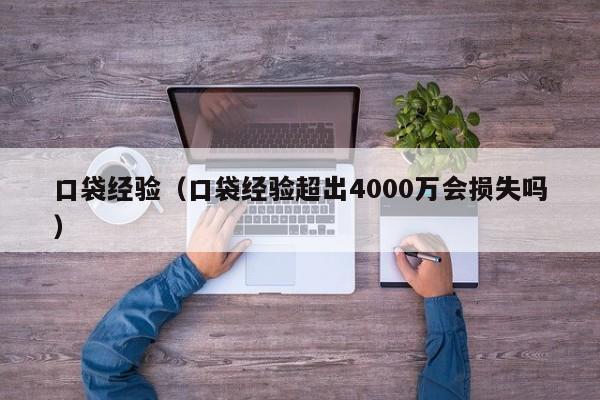 口袋经验（口袋经验超出4000万会损失吗）