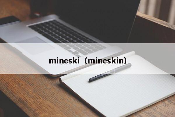 mineski（mineskin）