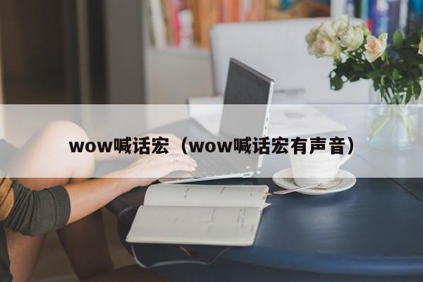 wow喊话宏（wow喊话宏有声音）