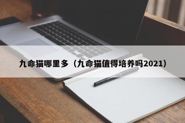 九命猫哪里多（九命猫值得培养吗2021）