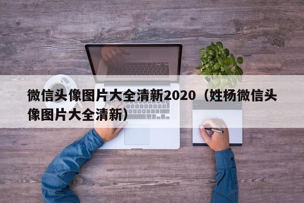 微信头像图片大全清新2020（姓杨微信头像图片大全清新）